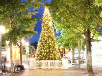 Community Christmas Tree in Bowral's Corbett Plaza