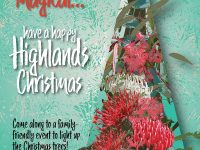 Illustrated poster with waratah Christmas tree