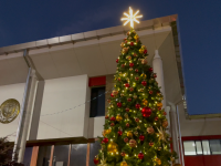 Civic Centre Community Christmas Tree