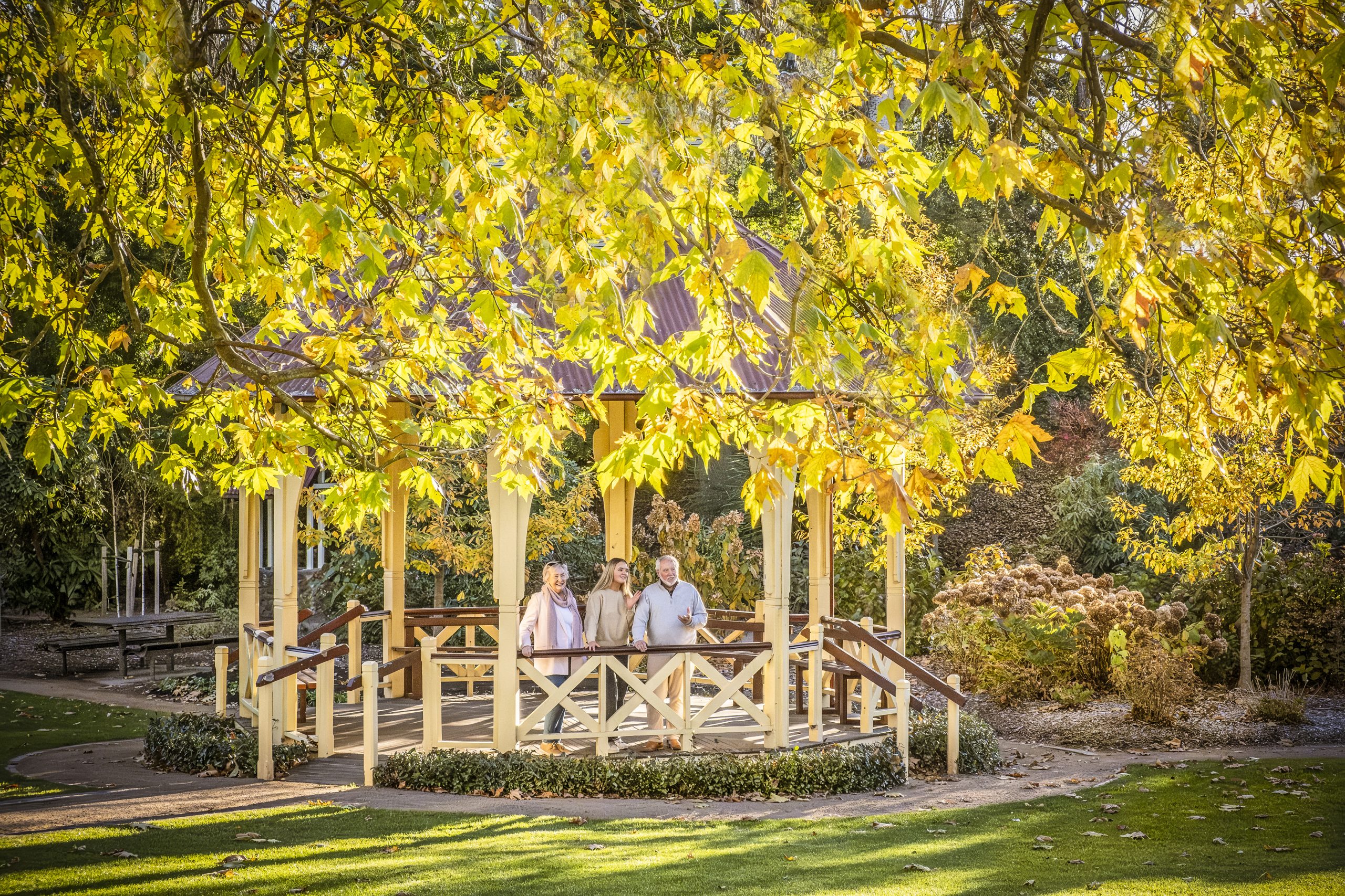 3 people standing in a gazebo under a beautiful tree with bright leaves