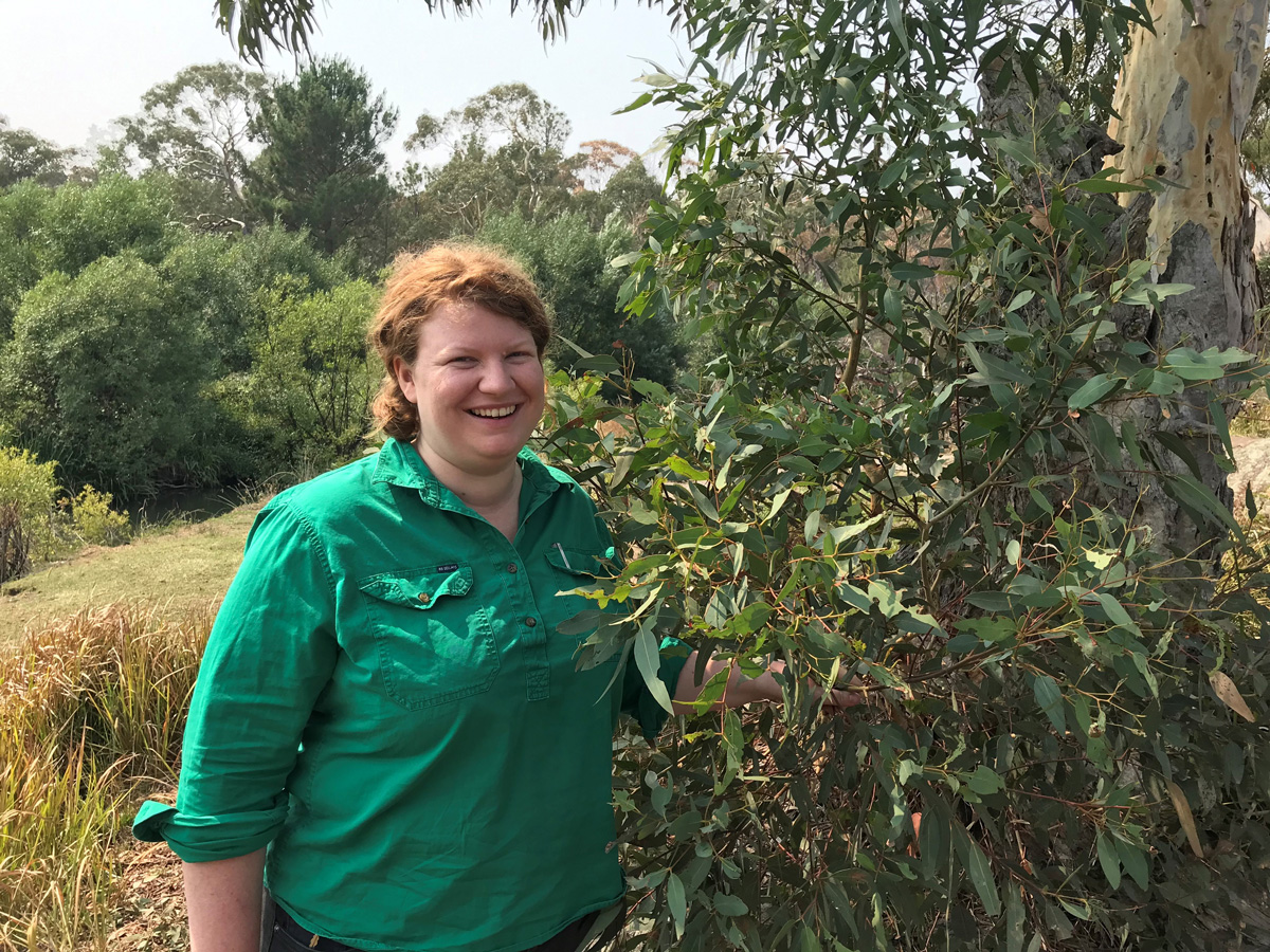 Lady standing next to eucalyptus tree, touching leaves
