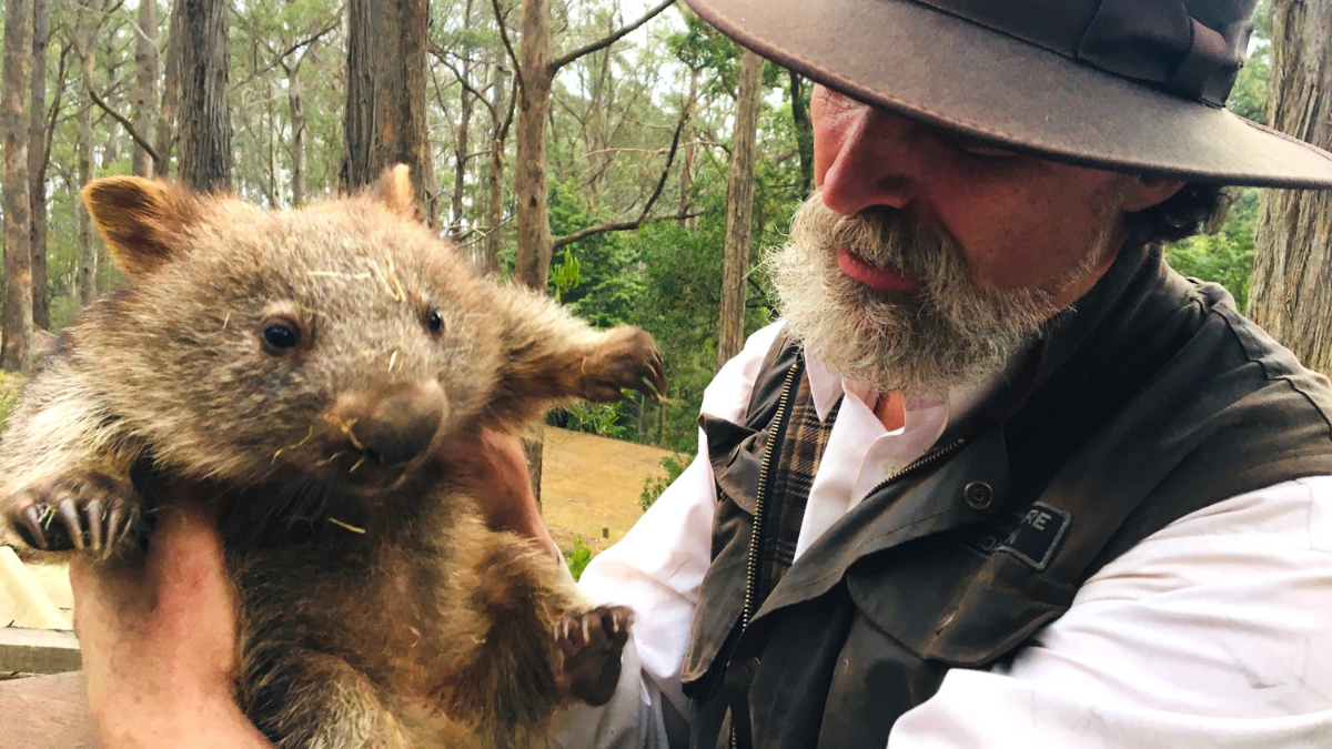 John Creighton holding the wombat he is treating