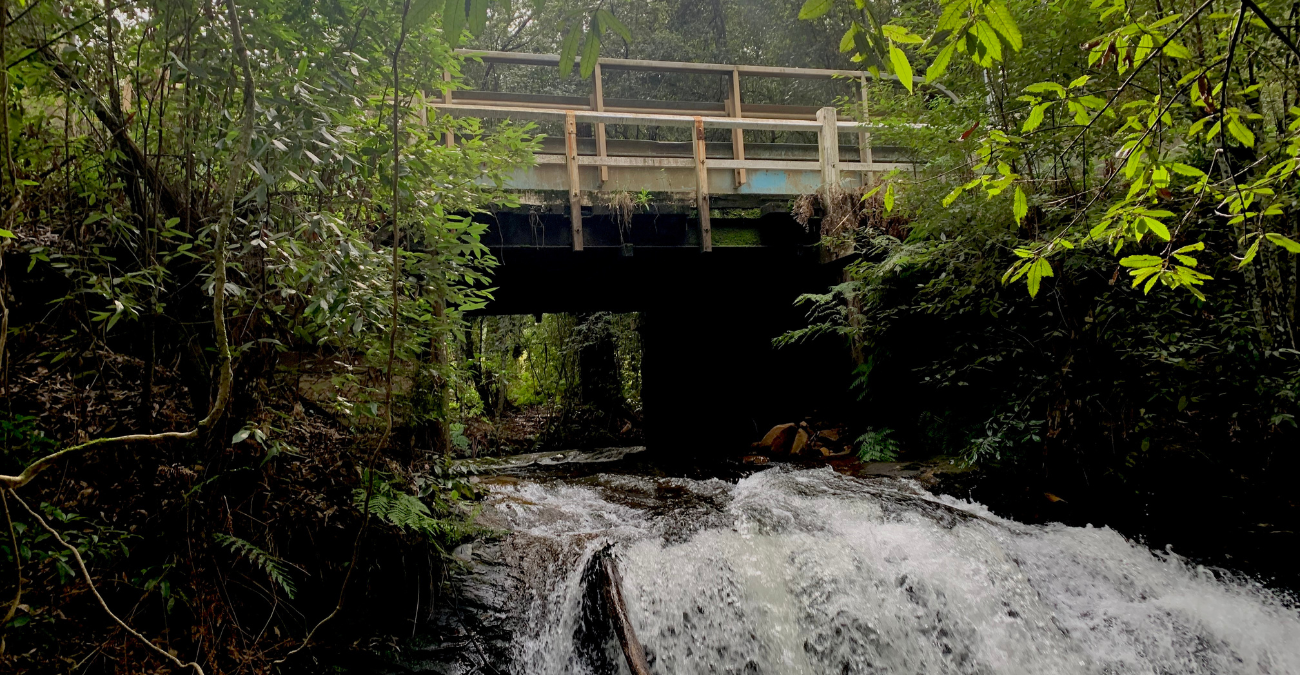 picture of Burrawang Creek Bridge with water running underneath it.
